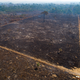 An area consumed by fire and cleared near Novo Progresso in Para state, Brazil.